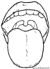 Colorea esta l&aacute;mina sobre Las Partes del Cuerpo. Pintar la Boca. Los labios, dientes, lengua y campanilla